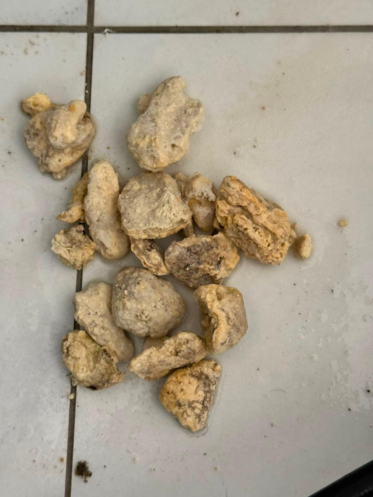 Dépôts retirés d'une canalisation lors d'un débouchage